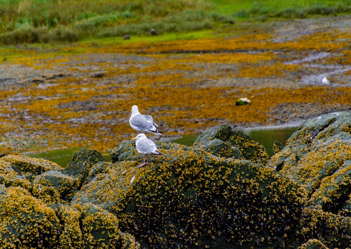 DSC_7116-2.jpg