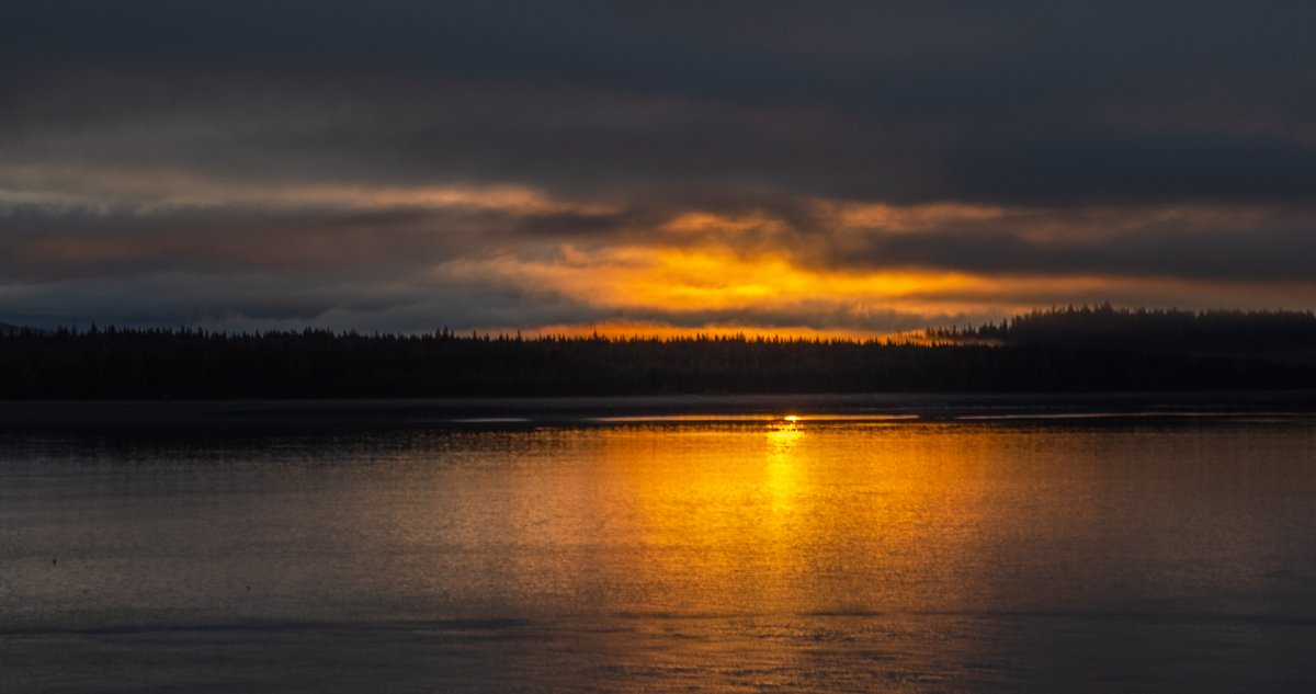 DSC_7263.jpg