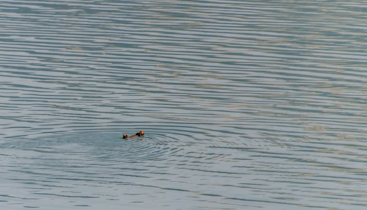 DSC_7324.jpg