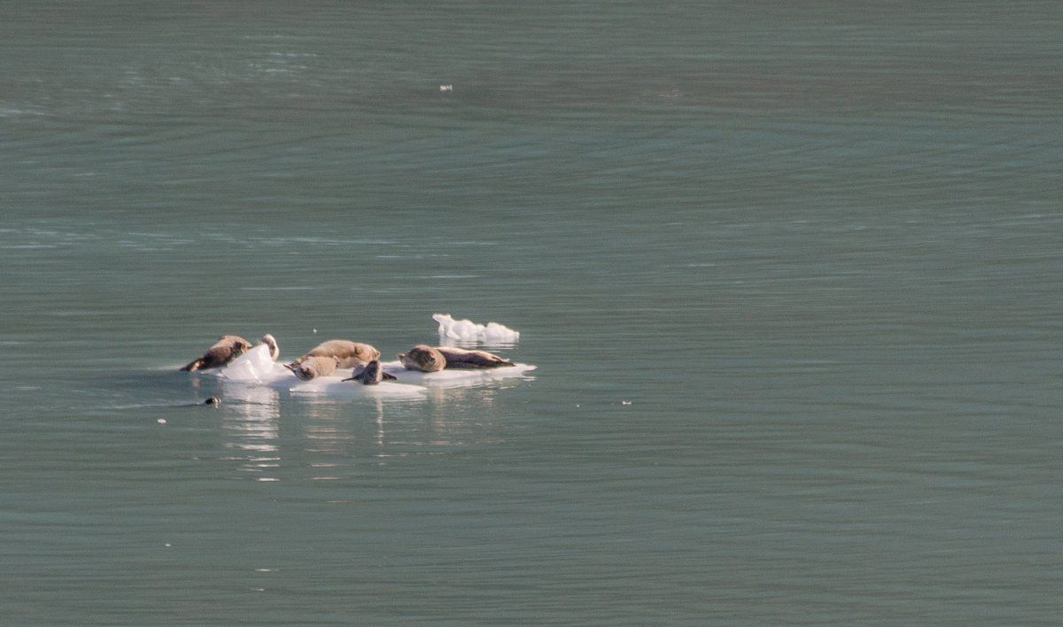 DSC_7352.jpg