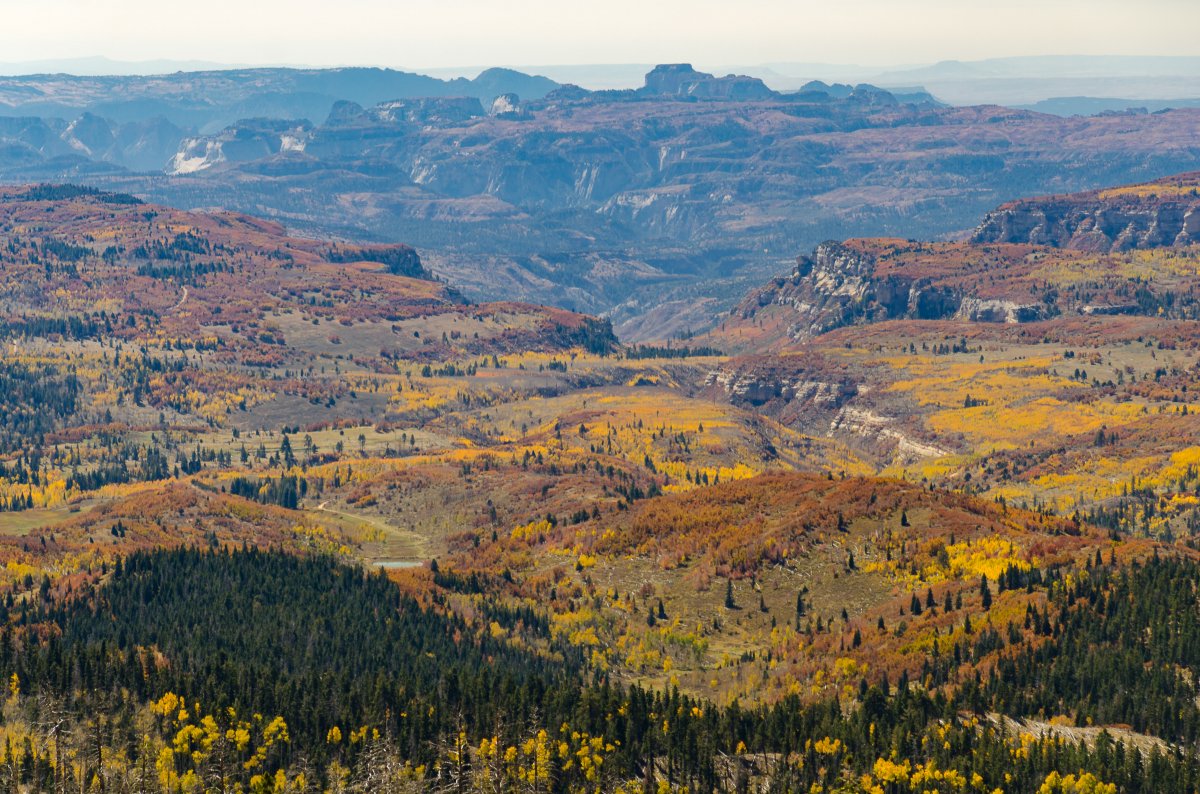 DSC_7443-2.jpg
