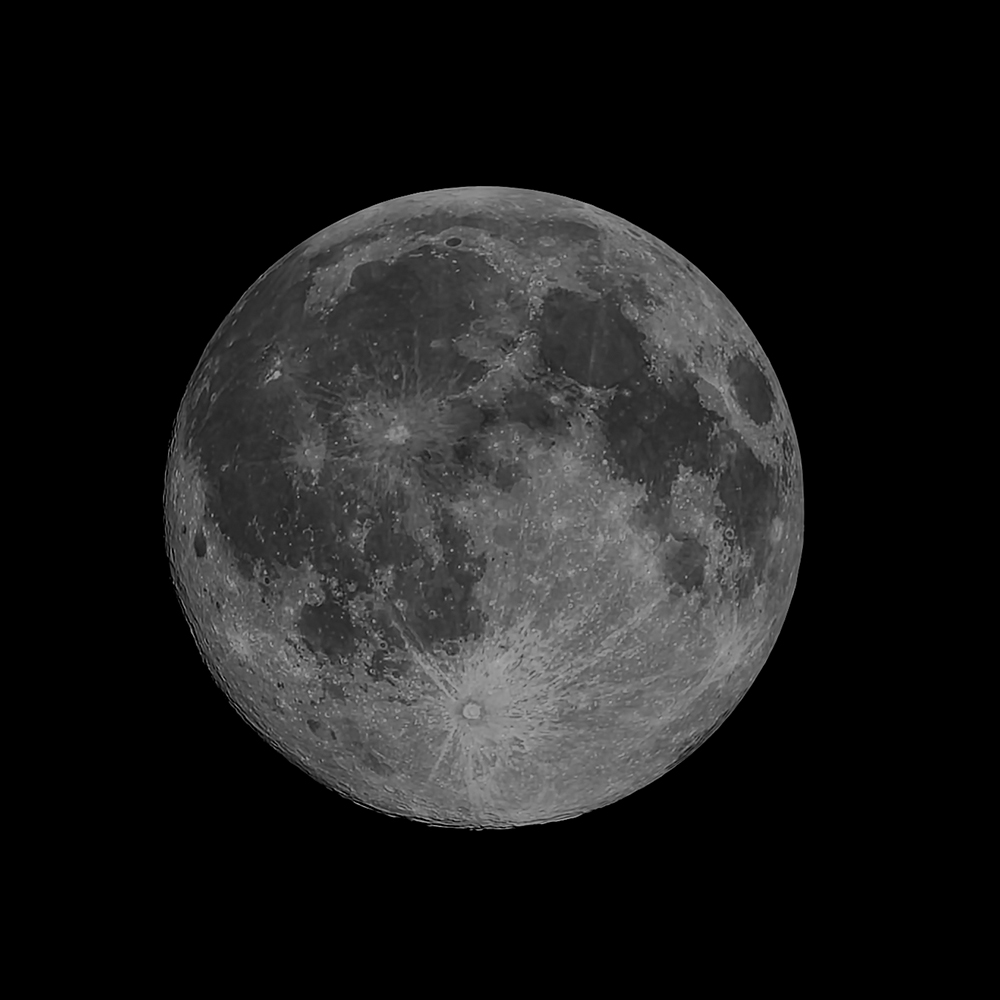 DSC_7443_dw.jpg