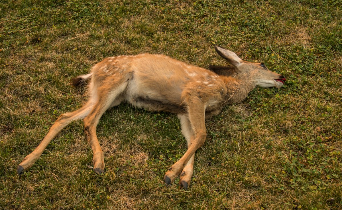 DSC_7496.jpg