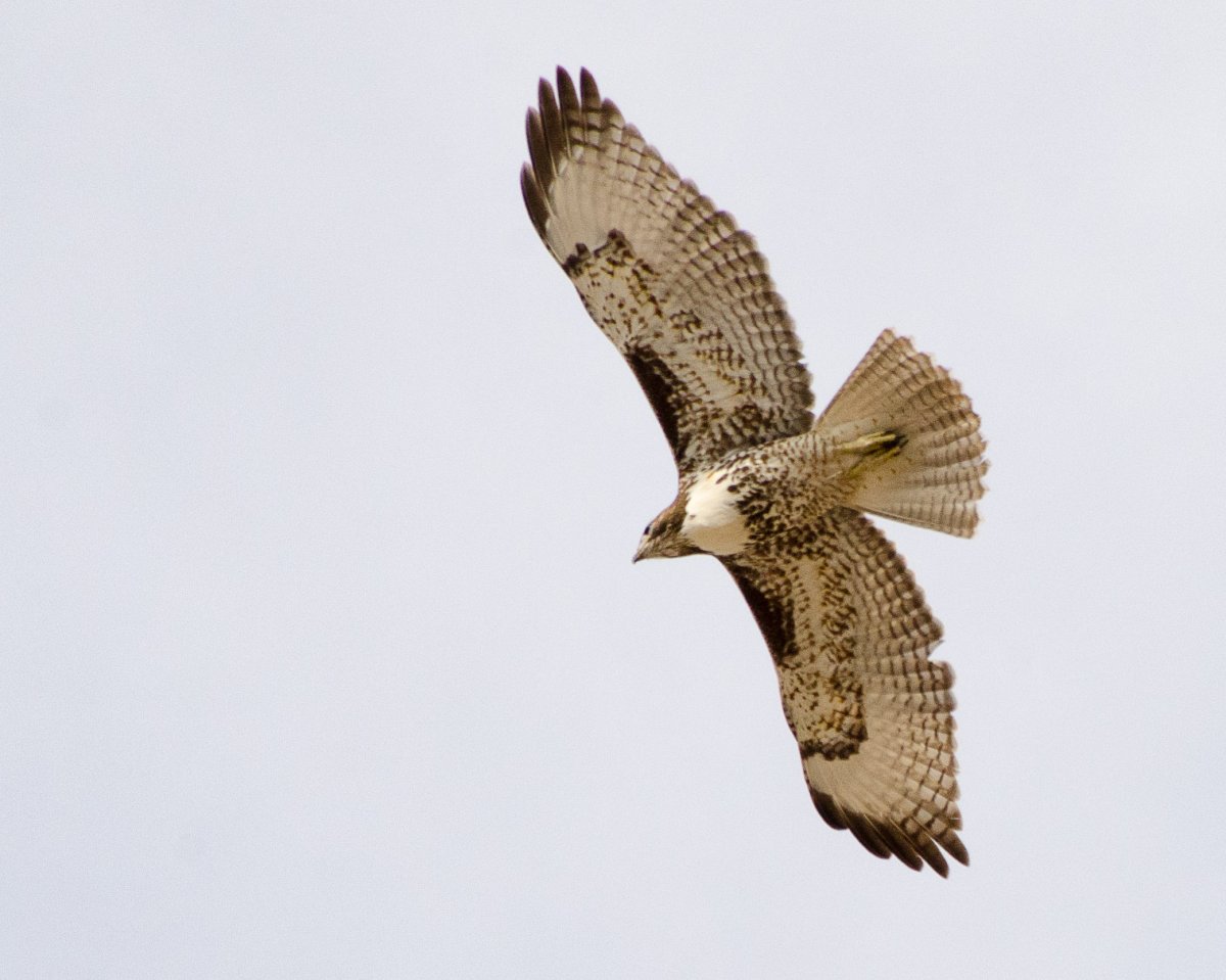 DSC_7556.jpg