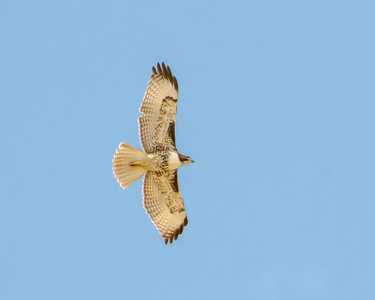 DSC_7561-3.jpg