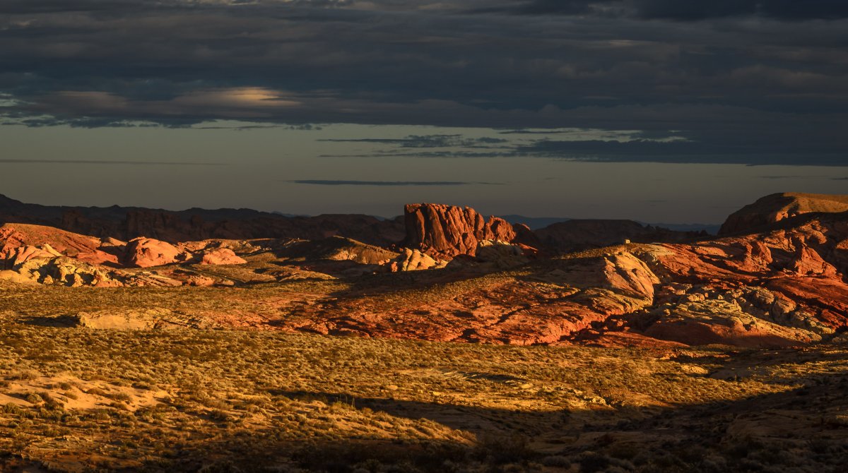 DSC_7758-2.jpg