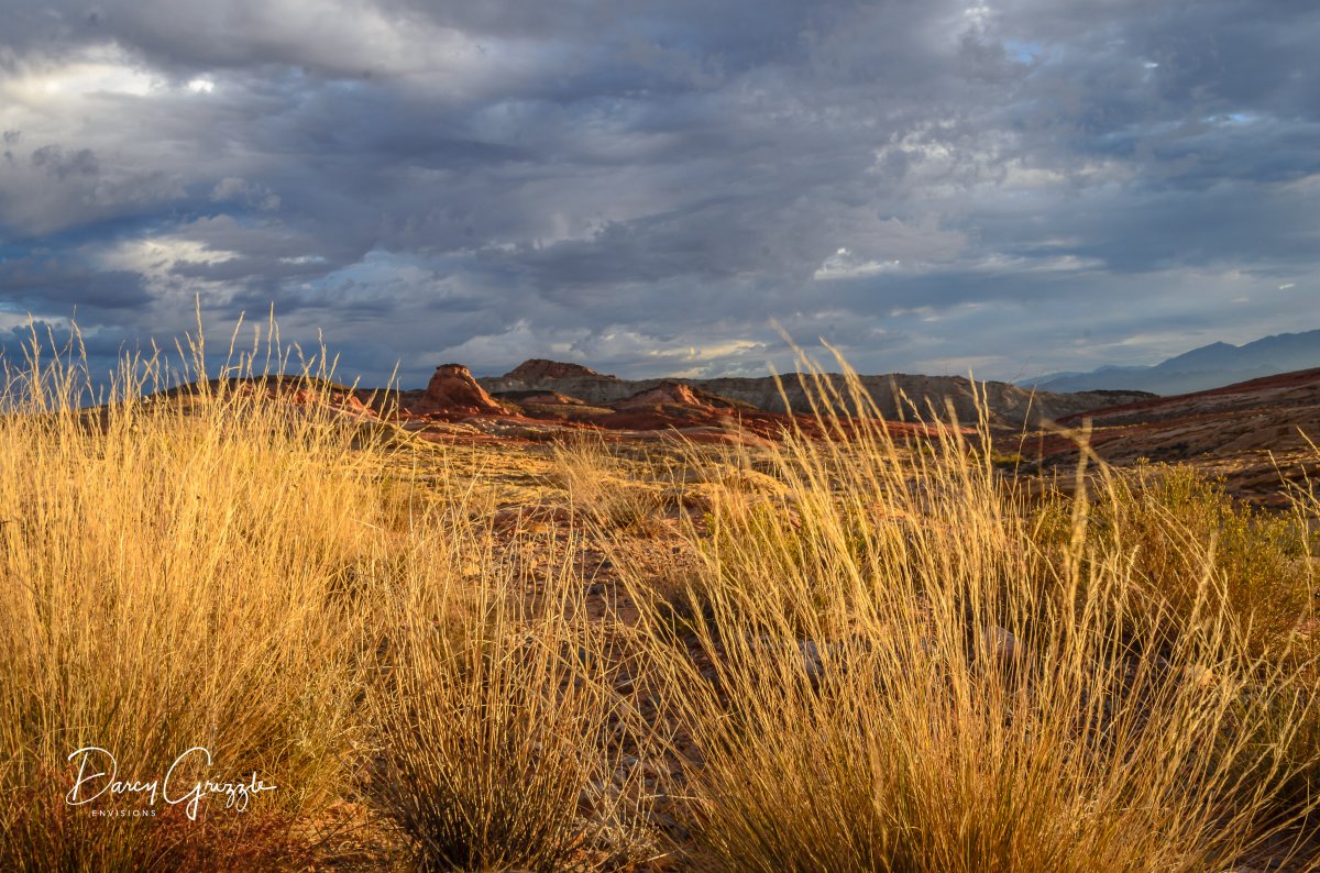 DSC_7765-Edit-4.jpg