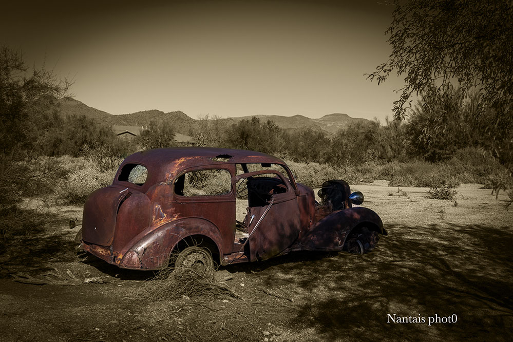 DSC_7970nbs.jpg