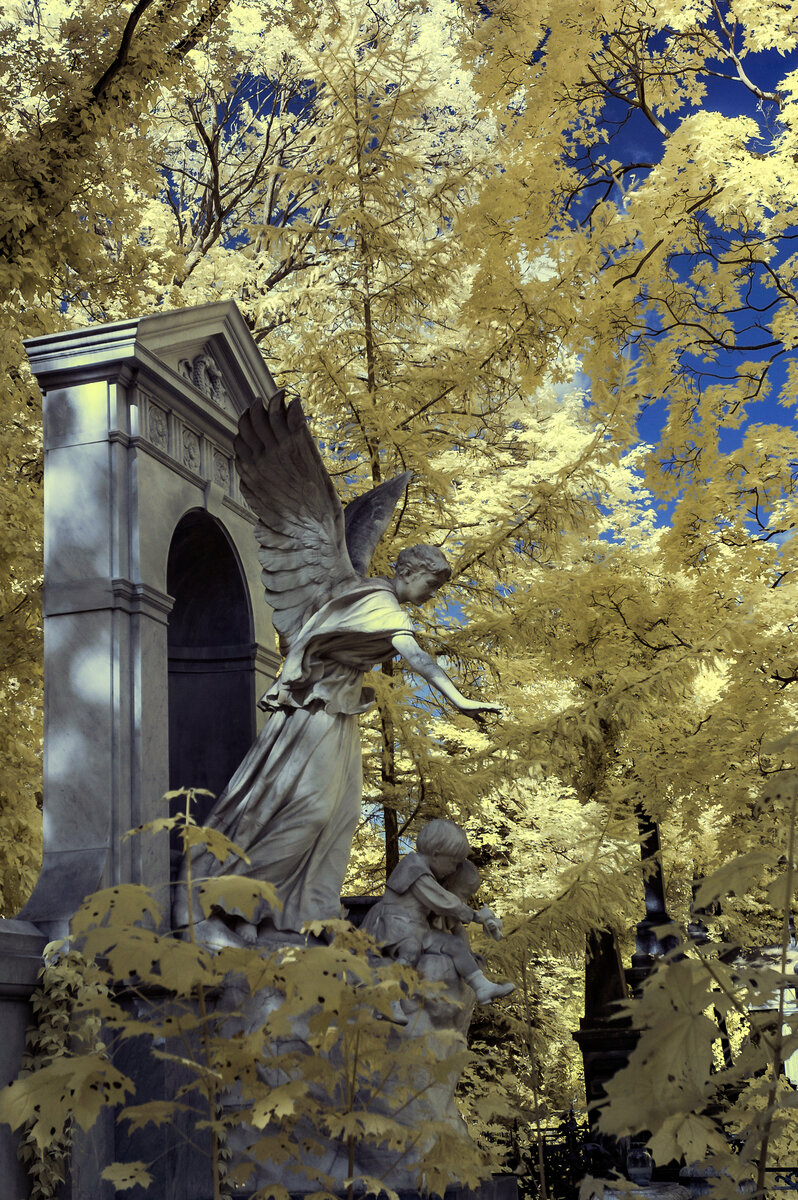 DSC_9252a.jpg