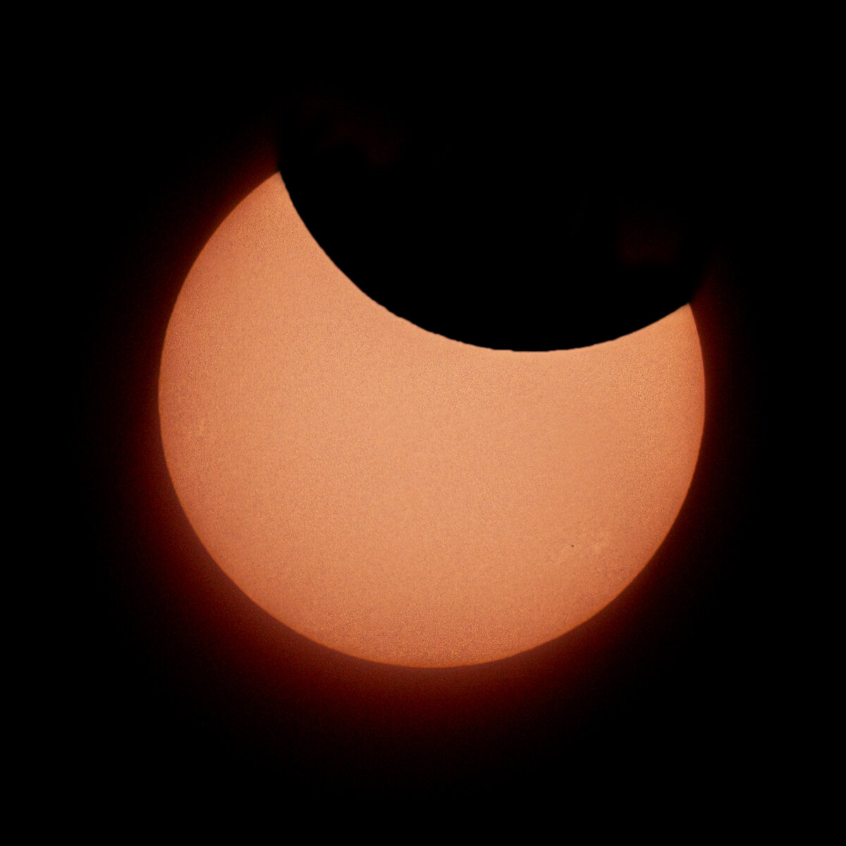 DSCF4613-Edit-sun-and-halo_v2-2.jpg