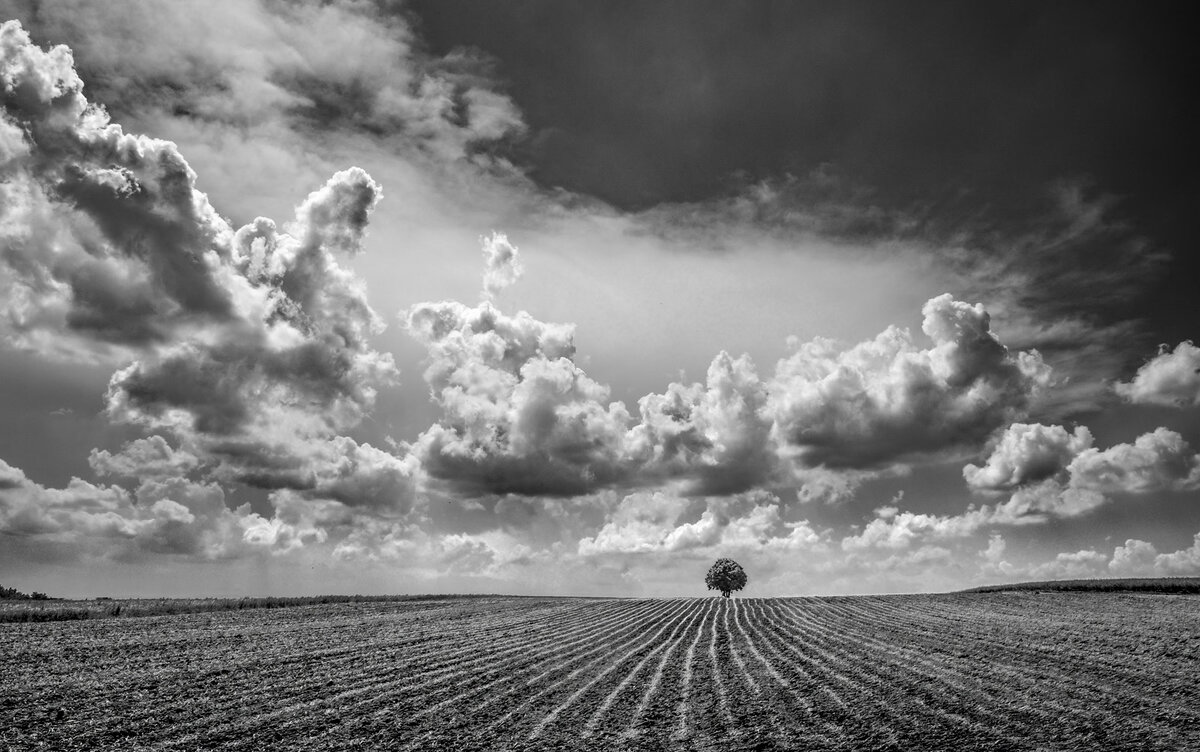 DSCF5203-4 from laptop copy.jpg