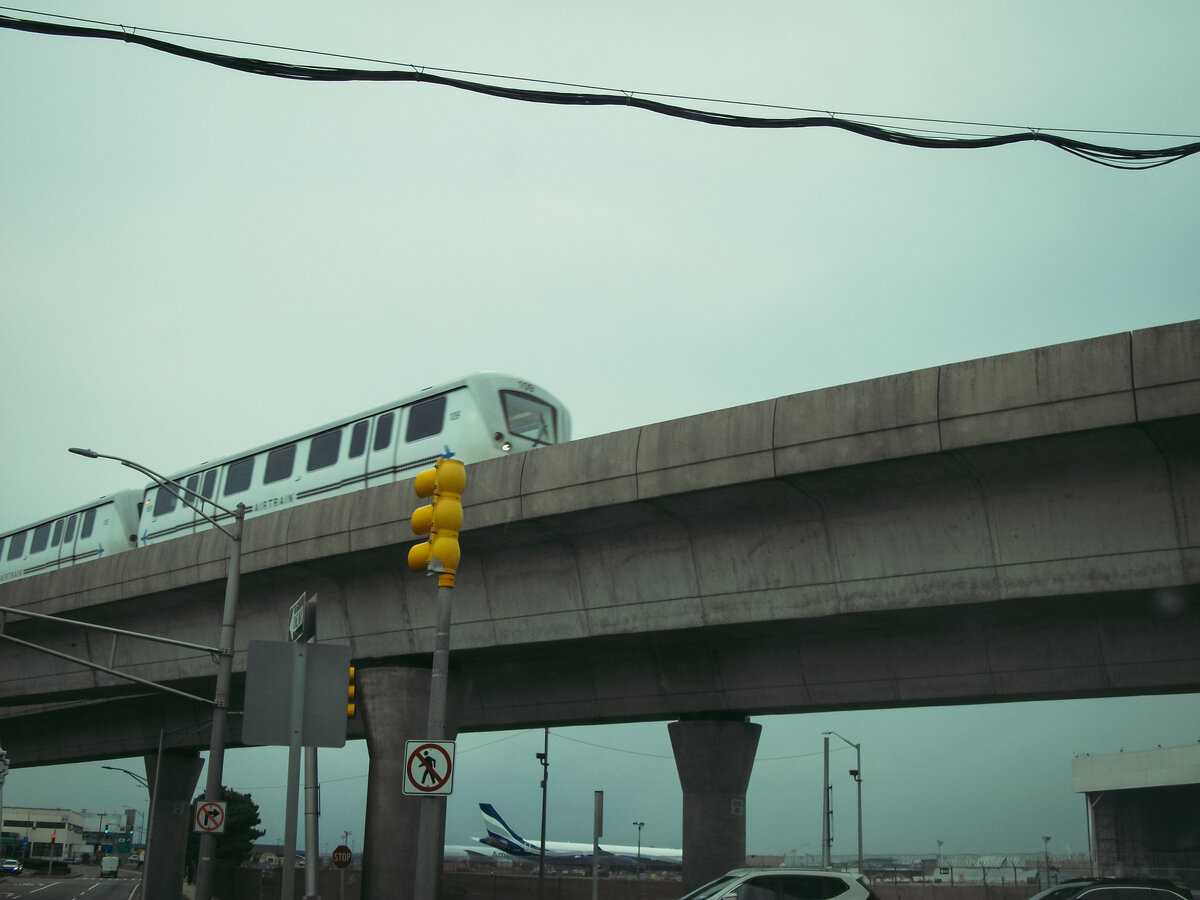 DSCF5373.jpg