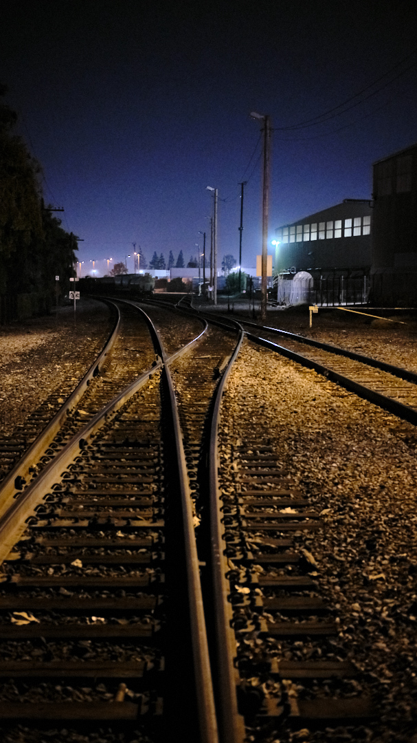 DSCF6566.jpg