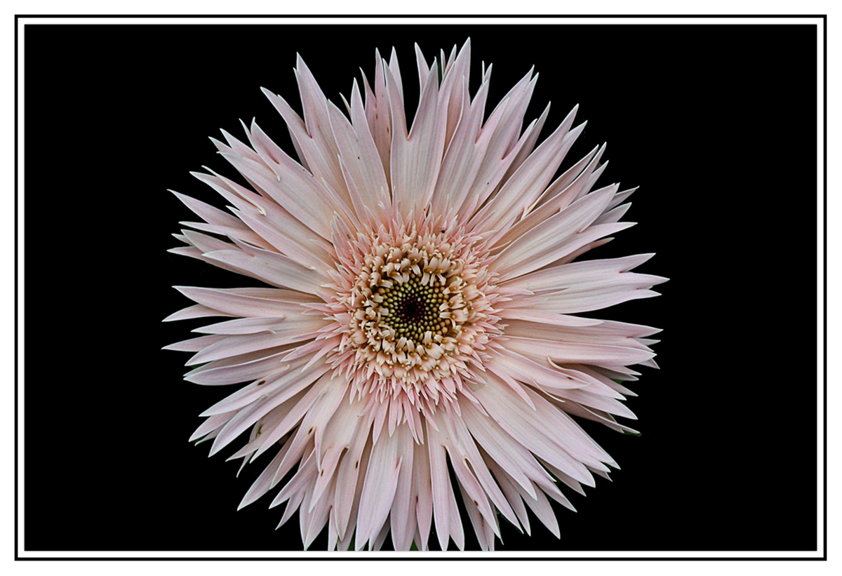 DSCN2878.jpg
