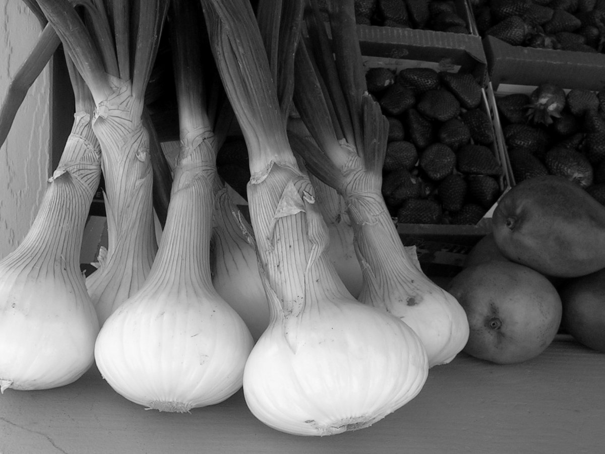 DSCN4141_cropped_BW.JPG