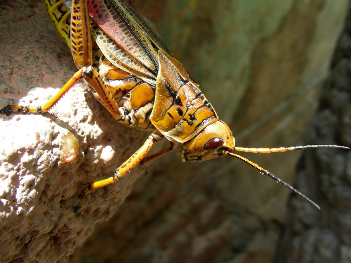 DSCN5904.JPG