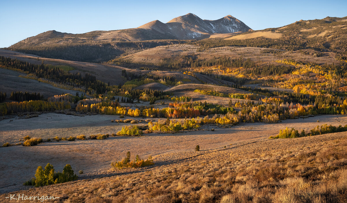 Dunderberg Meadow colors copy.jpg