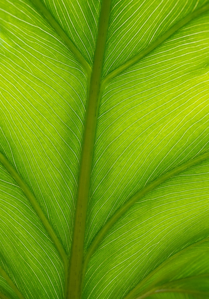 E609EFC0-38DE-4D94-96A5-A09E5FBDF3E0.jpeg