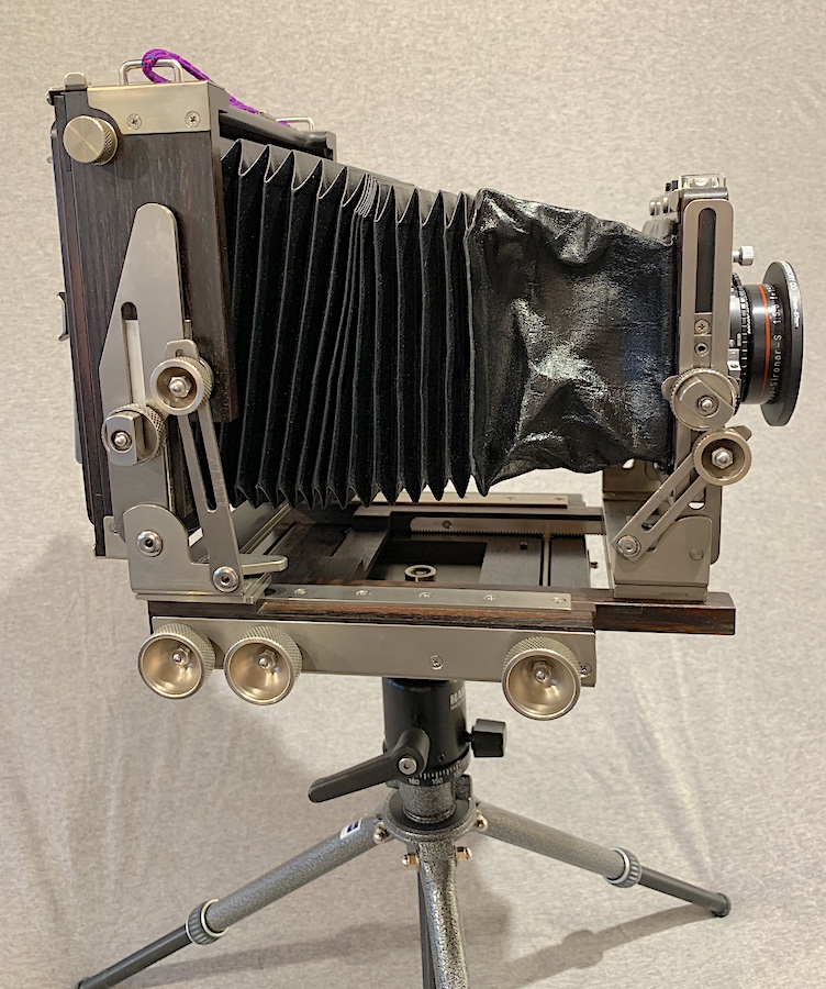 ebony4.jpg