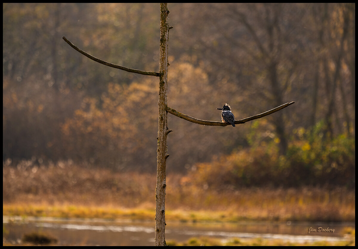 Edmonds-Marsh-017.jpg