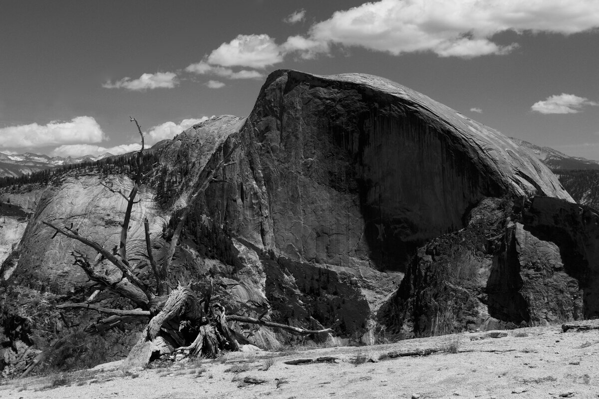 EOM_7839_140617_bw.jpg