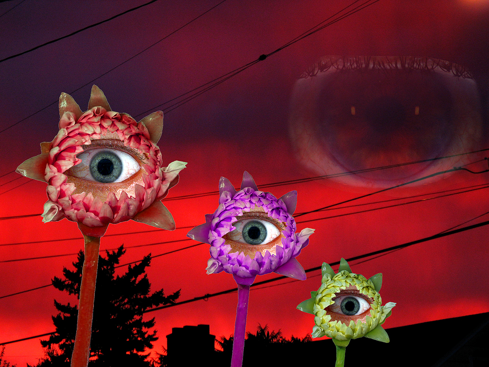 EYE51.jpg