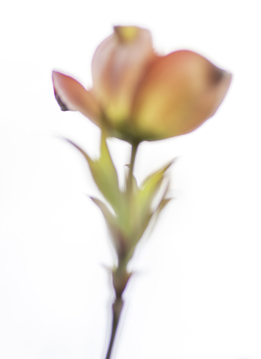 F0893513-DA14-4BD4-9C35-7A6914175757.jpeg