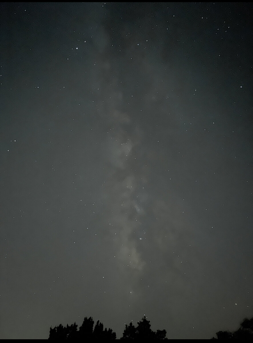 F17357AB-3BE0-486B-A189-032D43C34F2D.jpeg