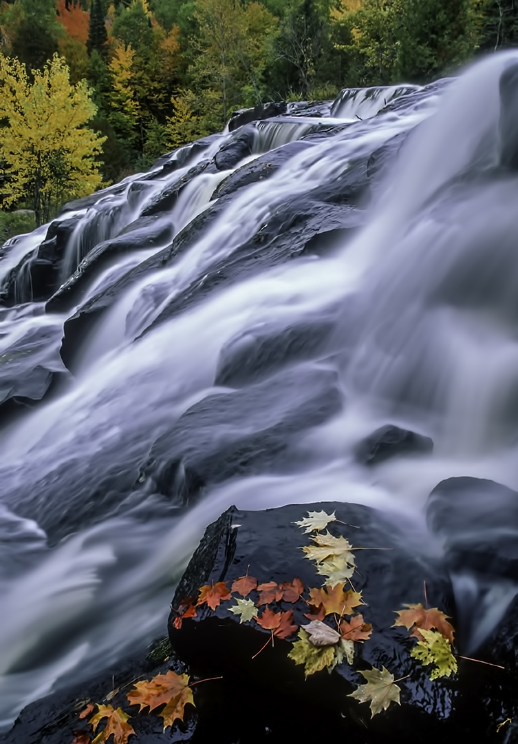 Fall at Bond Falls.jpg