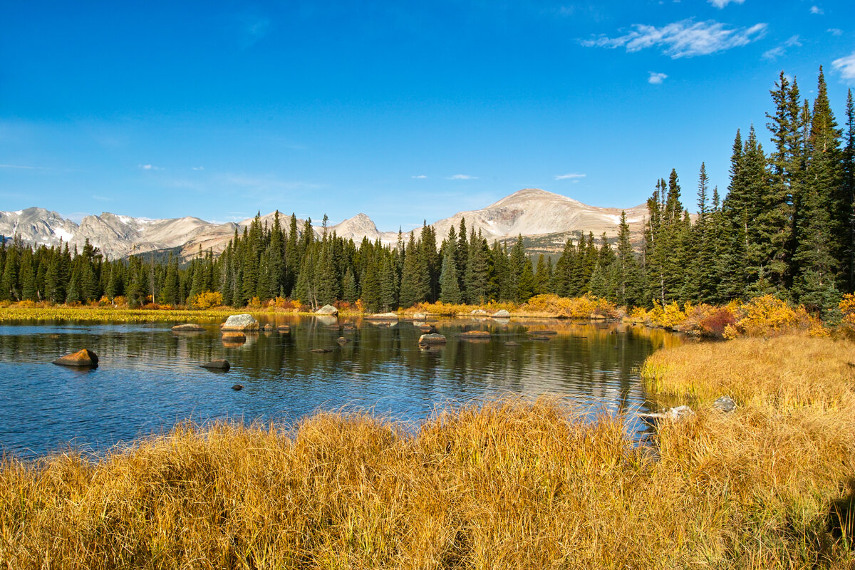 Fall at Red Rock.jpg