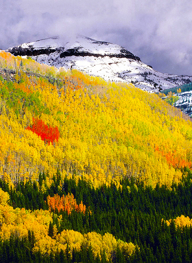 Fall in Colorado  III.jpg