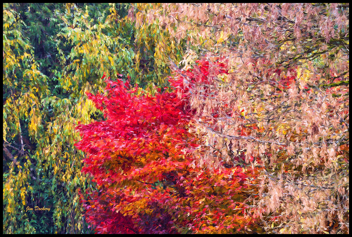 Fall-Leaves-Corner-(54-9)-ZS-PMax.jpg