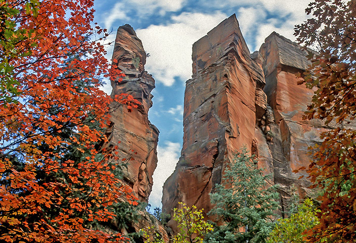 Fall Towers (1 of 1).jpg