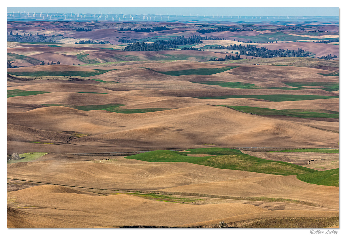 Farmland.jpg