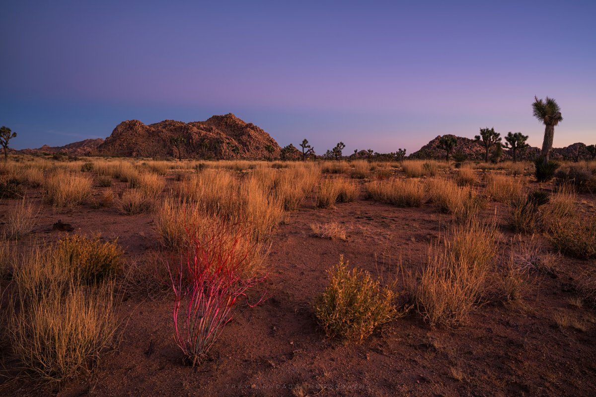 FirstLightInTheDesert-FB.jpg