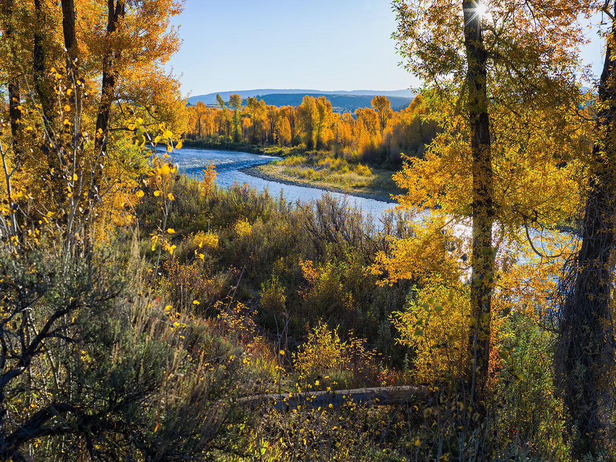 Flat-Creek1.jpg