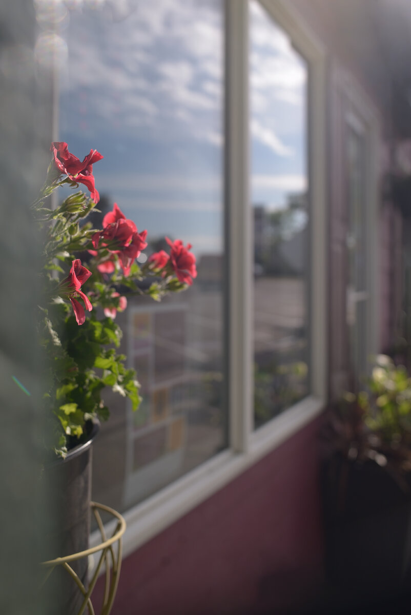 Flower shop Or Jg.jpg