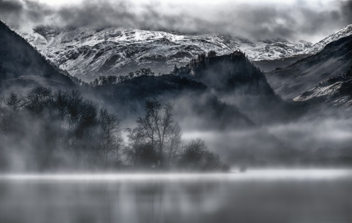 Fog Scene -1.3-1.jpg