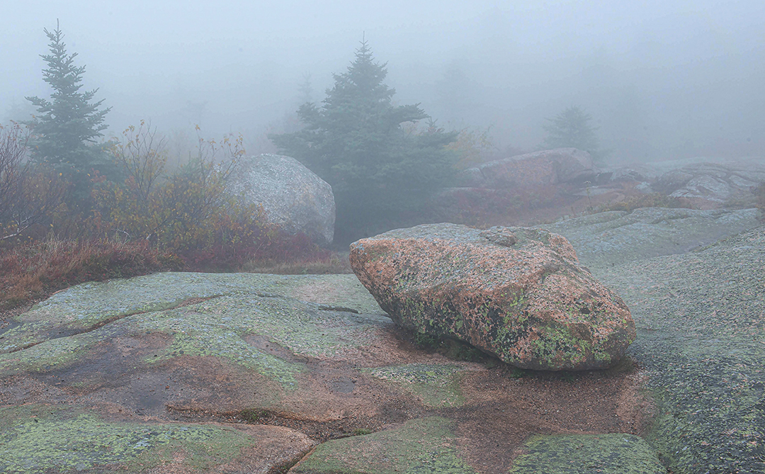 Foggy boulder-2.jpg