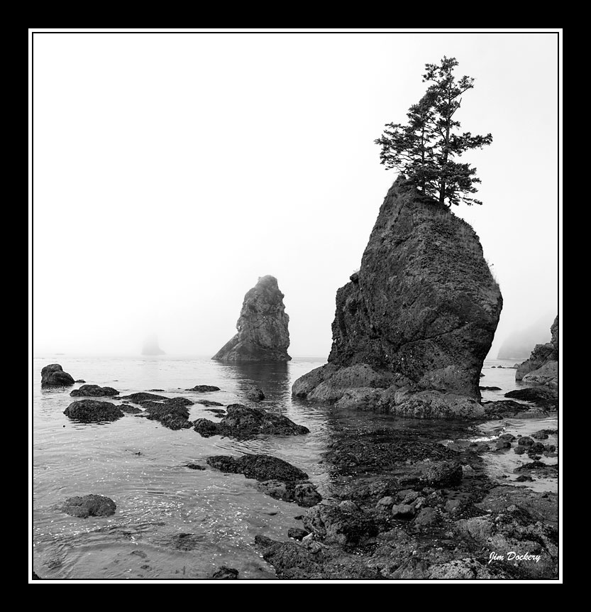 Foggy-Pt.-Arches_Pano-bw1.jpg