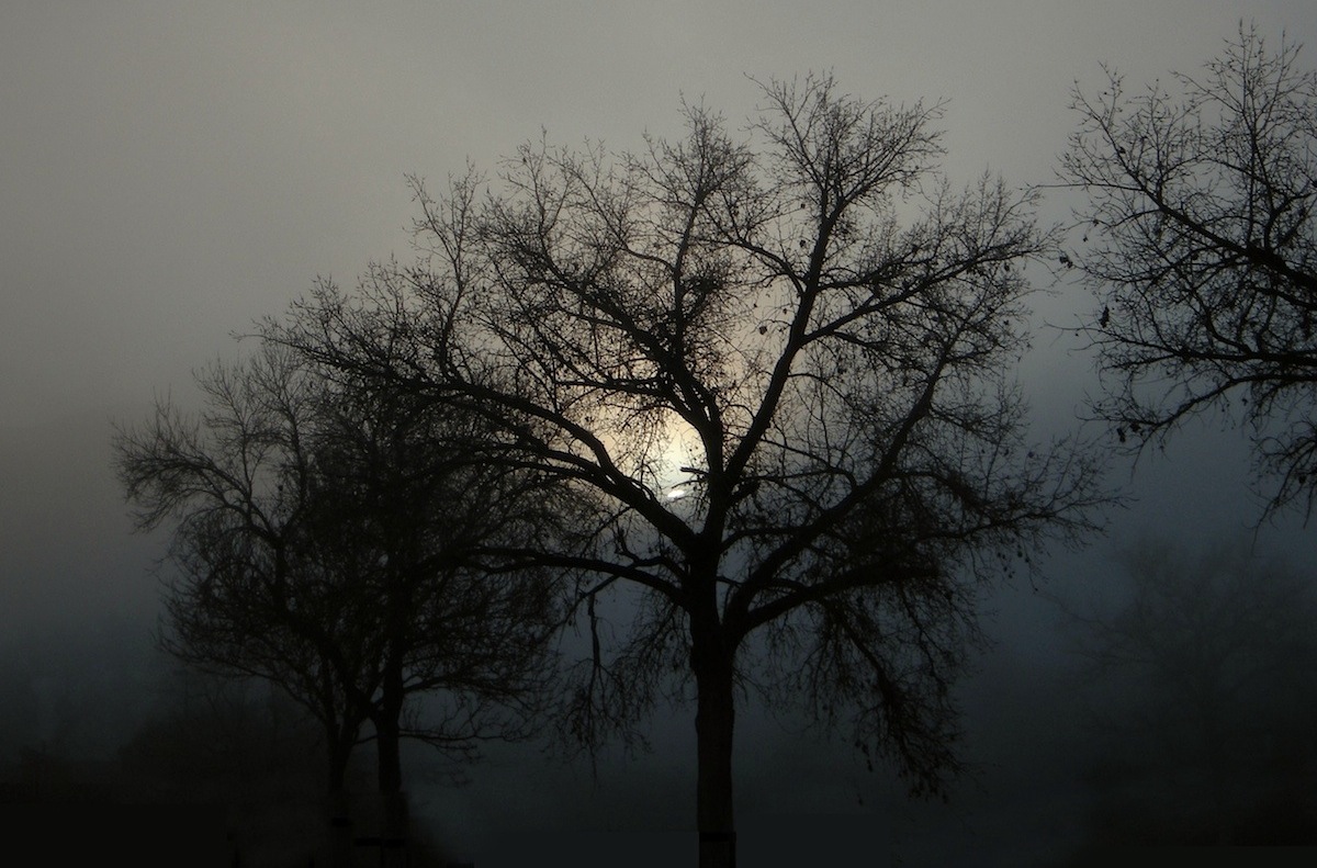foggysm.jpg