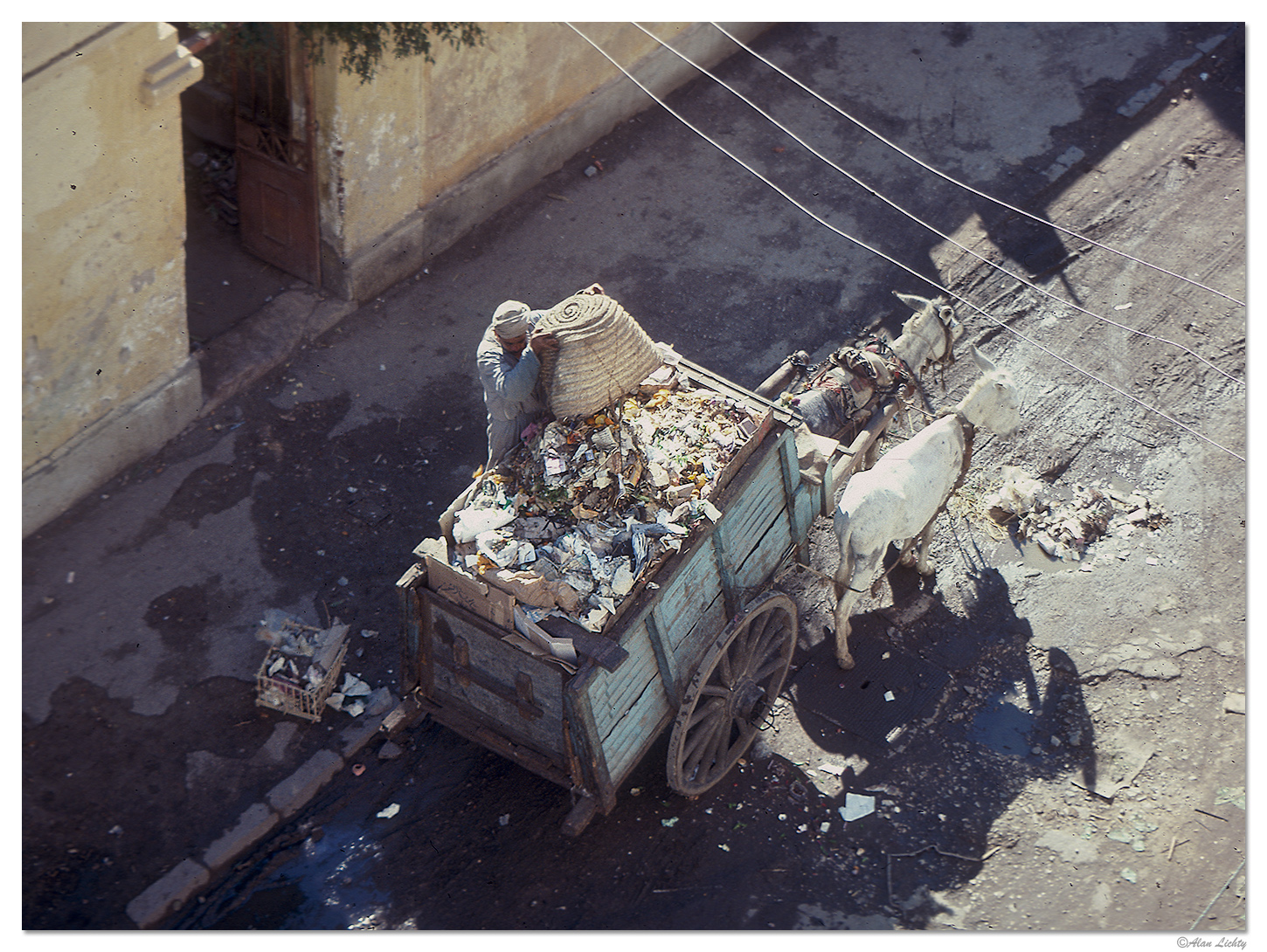 Fresh Garbage.jpg
