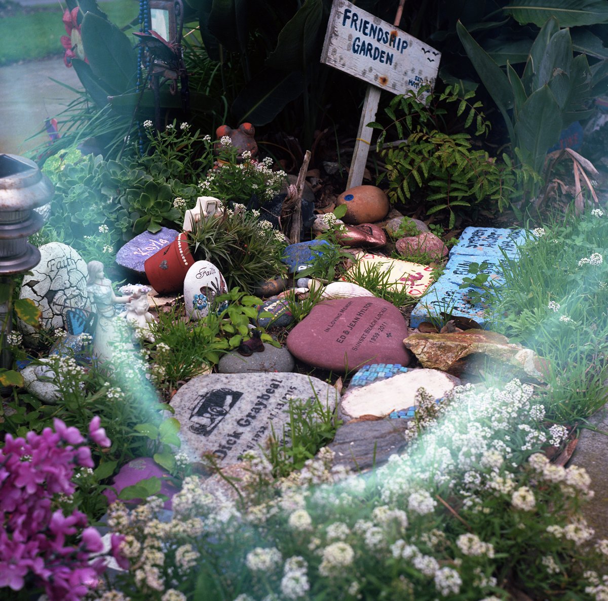 Friendship Garden Heart_25pct resize.jpg