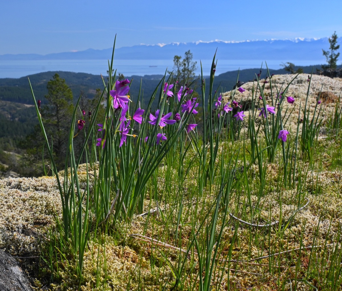 FW 01 DSC_1720_resize.JPG