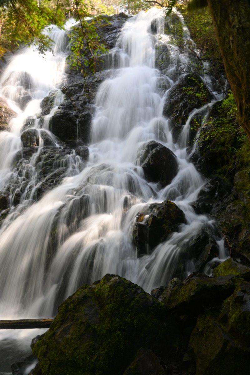 FW 02 DSC_1759_resize.JPG