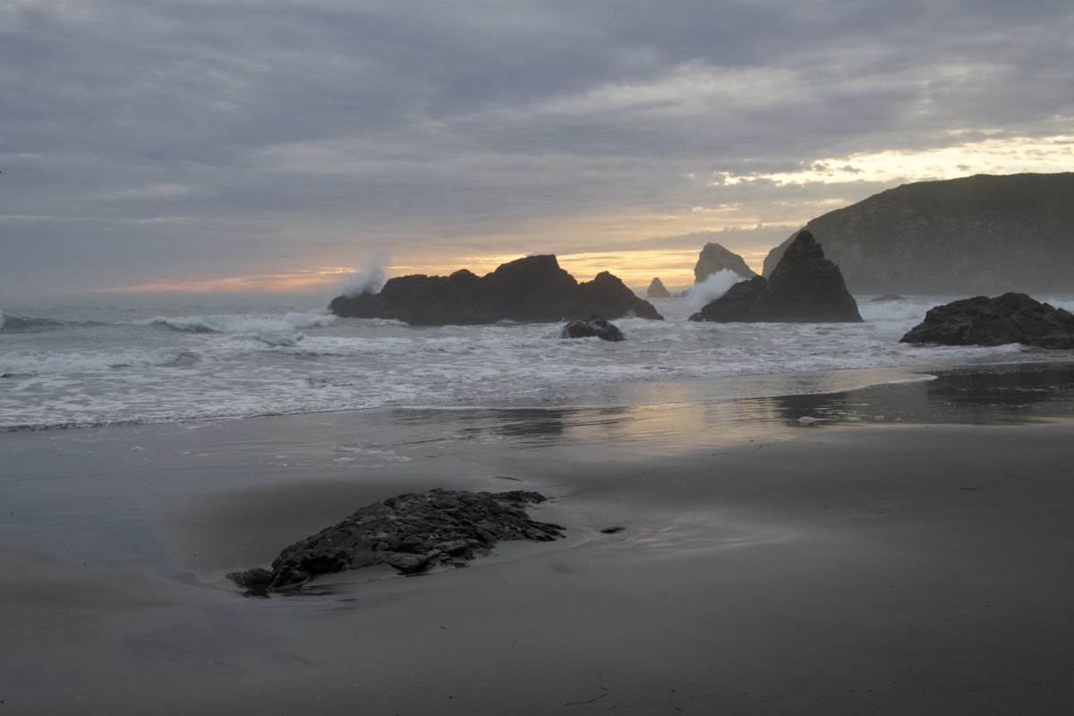 FW 04 CA-AZ 25 003 DSC_2970 RP_resize.jpg