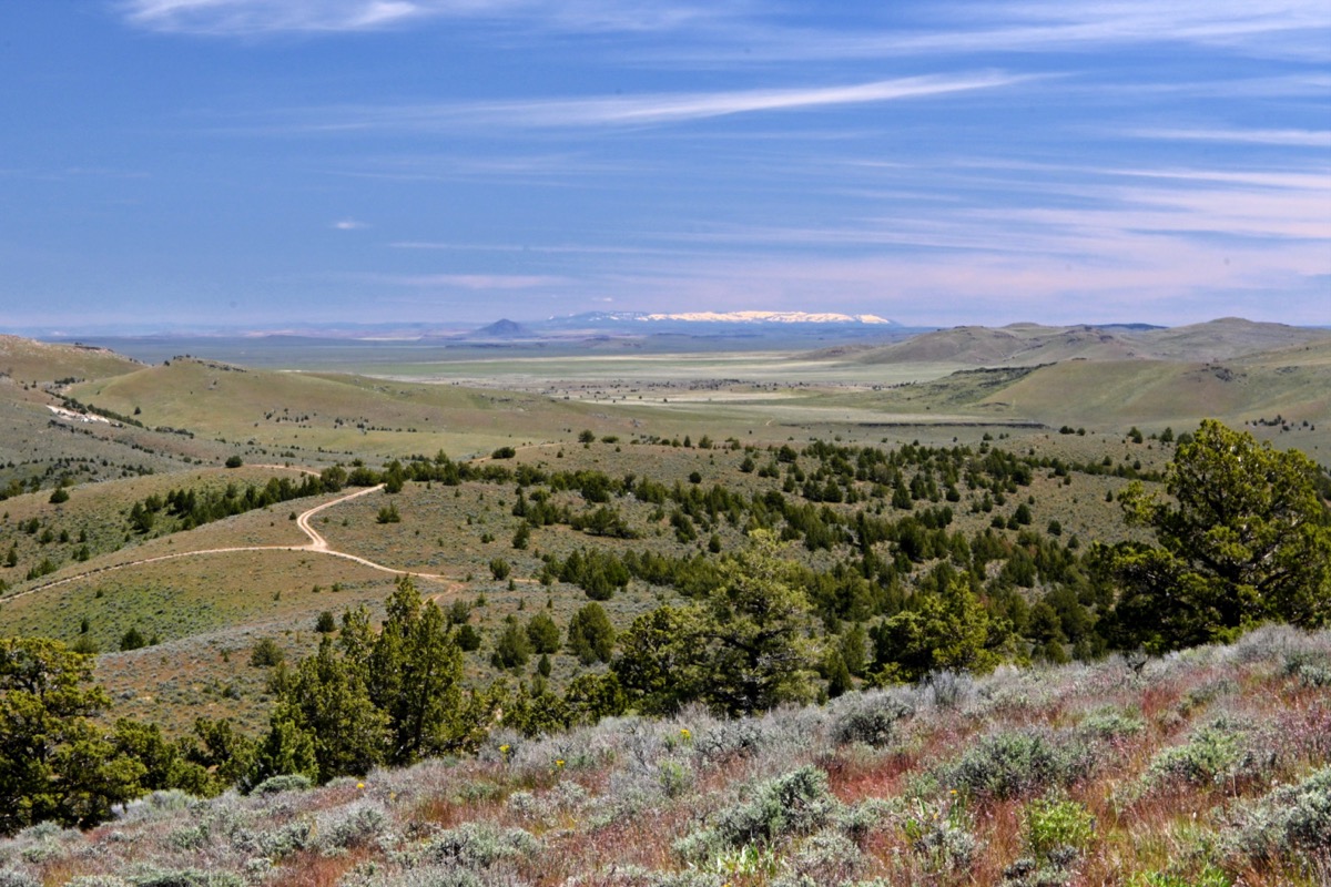 FW 05 Or24-SL-DSC_2077_resize.jpg