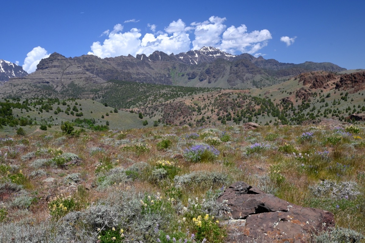 FW 08 DSC_2527_resize.JPG