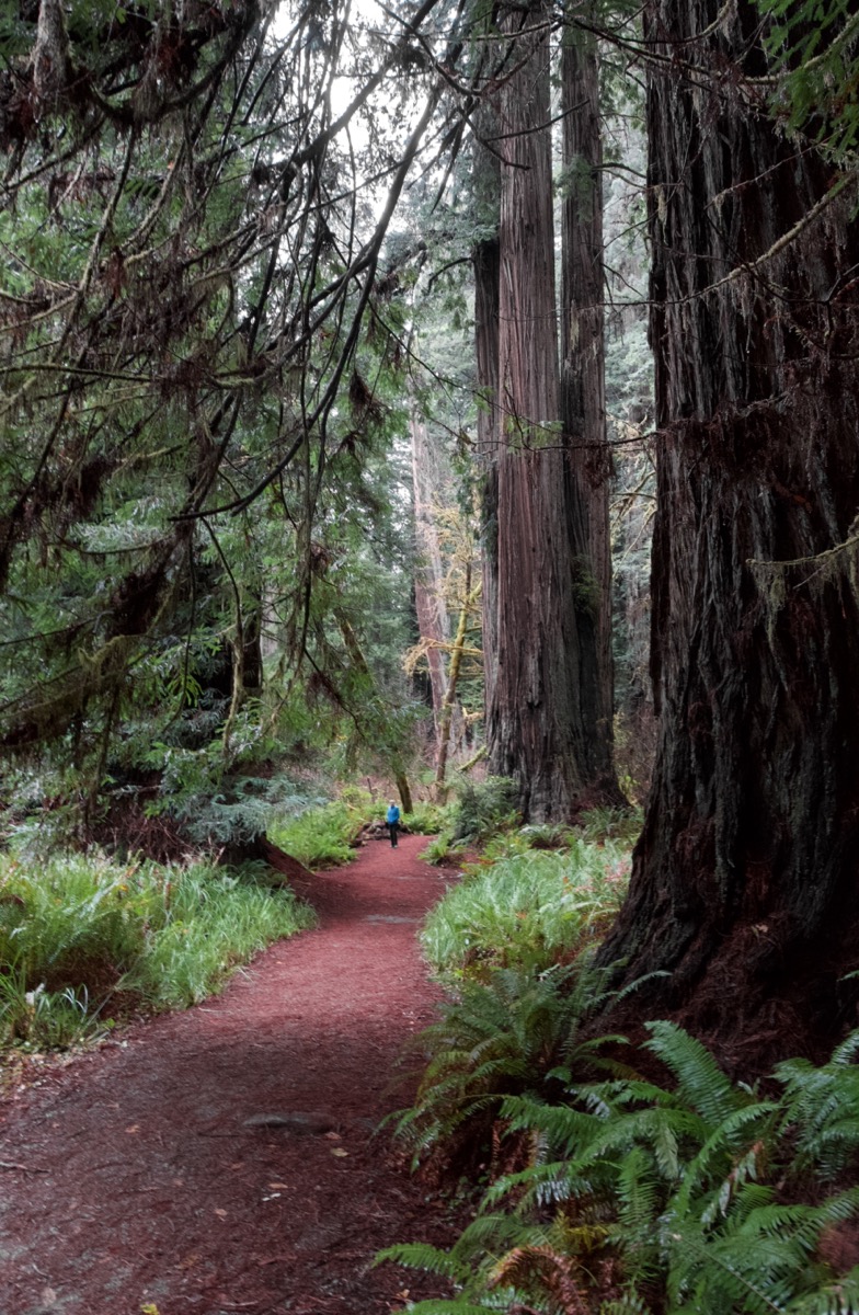 FW 10 CA-AZ 25 012 DSC_3000 RP_resize.jpg