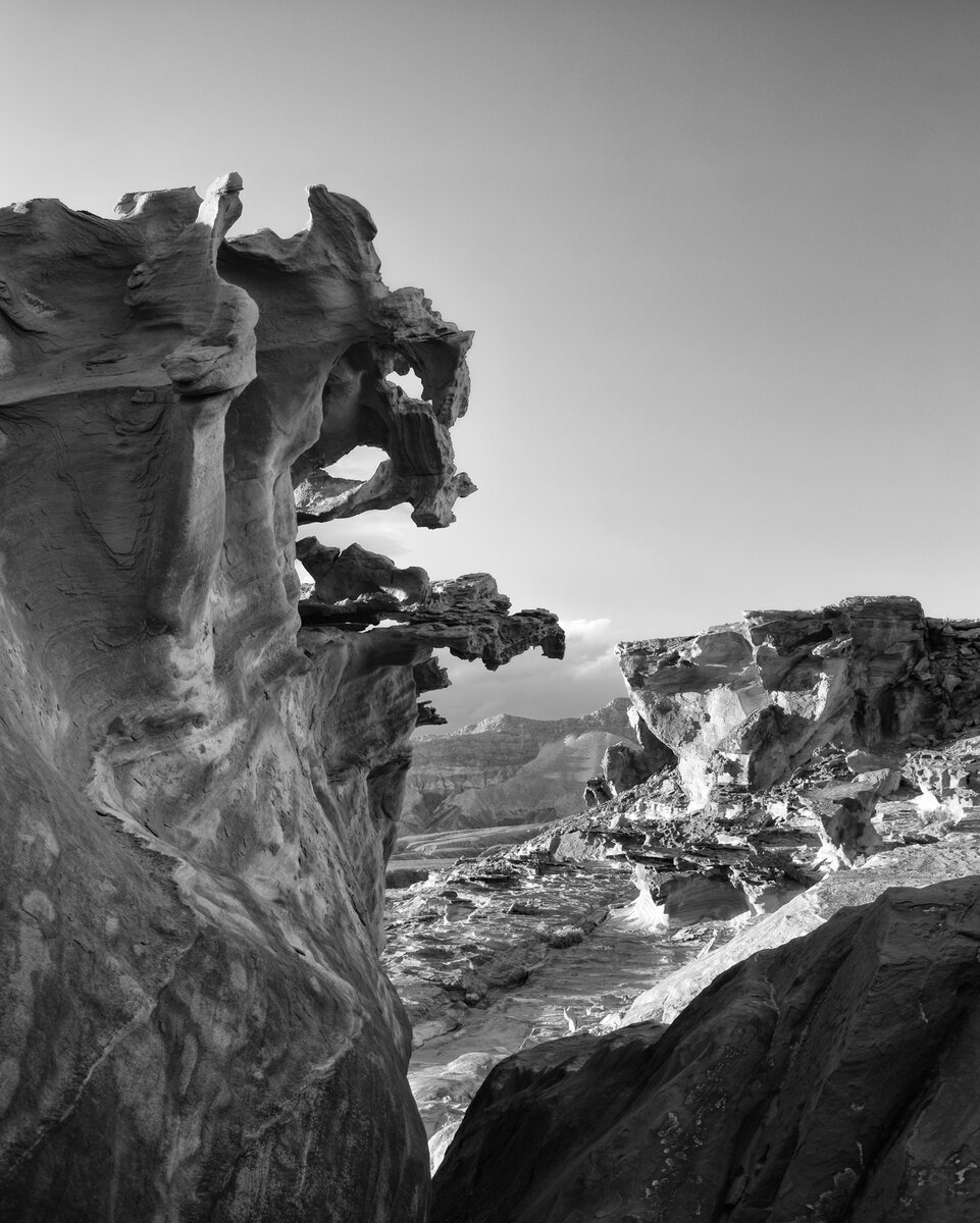 Gargoyles-baselevelscurves-B&W.jpg